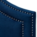 Baxton Studio Avignon Modern and Contemporary Navy Blue Velvet Fabric Upholstered Queen Size Headboard - BBT6566-Navy Blue-HB-Queen
