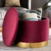 Baxton Studio Marisa Glam and Luxe Red Velvet Fabric Upholstered Gold Finished Storage Ottoman - JY19A221-Red/Gold-Otto