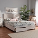 Baxton Studio Netti Beige Fabric Upholstered 2-Drawer Queen Size Platform Storage Bed - Netti-Beige-Queen