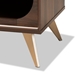 Baxton Studio Dena Mid-Century Modern Walnut Brown Wood and Gold Finished TV Stand - LV12TV12120WI-Columbia-TV
