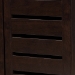 Baxton Studio Adalwin Modern and Contemporary 3-Door Dark Brown Wooden Entryway Shoes Storage Cabinet - SC863533-Wenge