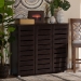 Baxton Studio Adalwin Modern and Contemporary 3-Door Dark Brown Wooden Entryway Shoes Storage Cabinet - SC863533-Wenge