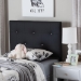 Baxton Studio Kirchem Modern and Contemporary Black Faux Leather Upholstered Twin Size Headboard - BBT6432-Black-Twin HB