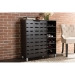 Baxton Studio Shirley Modern and Contemporary Dark Brown Wood 2-Door Shoe Cabinet with Open Shelves - SR-002-Espresso