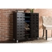 Baxton Studio Shirley Modern and Contemporary Dark Brown Wood 2-Door Shoe Cabinet with Open Shelves - SR-002-Espresso