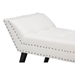 Baxton Studio Tamblin Modern and Contemporary White Faux Leather Upholstered Large Ottoman Seating Bench - WS-22592-Matt White