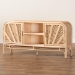 bali & pari Carabella Bohemian Natural Rattan 2-Door Storage Cabinet - WS082-Natural Rattan-Cabinet