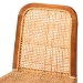 bali & pari Caspia Mid-Century Modern Walnut Brown Mahogany Wood and Natural Rattan 2-Piece Dining Chair Set - Caspia-Teak-DC