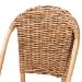 bali & pari Neola Modern Bohemian Natural Rattan Dining Chair - 12737-Rattan-DC