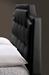Baxton Studio Carlotta Black Modern Bed with Upholstered Headboard - Queen Size - BBT6376-Black-Queen