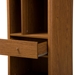 Baxton Studio Ellingham Mid-century Retro Modern 1-drawer Sideboard Storage Cabinet Bookcase Organizer - FP-6785-Walnut