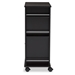 Baxton Studio Ontario Modern and Contemporary Dark Brown Wood Modern Dry Bar and Wine Cabinet - RT380-OCC