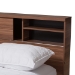 Baxton Studio Vanda Modern and Contemporary Two-Tone Walnut and Black Wood Queen Size Platform Bed - VDQB001291-Walnut/Black-Queen