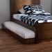 Baxton Studio Payton Modern and Contemporary Brown-Finished Twin Trundle - HT-Walnut Brown-Trundle