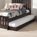 Baxton Studio Payton Modern and Contemporary Dark Brown-Finished Twin Trundle - HT-Espresso Brown-Trundle