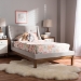 Baxton Studio Louvain Modern and Contemporary Greyish Beige Fabric Upholstered Walnut-Finished Twin Sized Platform Bed - BBT6696-Greyish Beige-Twin