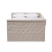 Baxton Studio Amaya Modern and Contemporary Light Beige Fabric Upholstered Queen Size Daybed - CF8825-C-Light Beige-Daybed-Q