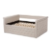 Baxton Studio Amaya Modern and Contemporary Light Beige Fabric Upholstered Queen Size Daybed - CF8825-C-Light Beige-Daybed-Q