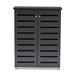 Baxton Studio Adalwin Modern and Contemporary Dark Gray 2-Door Wooden Entryway Shoe Storage Cabinet - SC863522M-Dark Grey-Shoe Cabinet