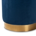 Baxton Studio Alonza Glam Navy Blue Velvet Fabric Upholstered Gold-Finished Ottoman - TSF3307-Navy Blue/Gold-Otto
