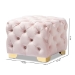 Baxton Studio Avara Glam and Luxe Light Pink Velvet Fabric Upholstered Gold Finished Button Tufted Ottoman - TSFOT029-Light Pink/Gold-Otto