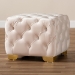 Baxton Studio Avara Glam and Luxe Light Beige Velvet Fabric Upholstered Gold Finished Button Tufted Ottoman - TSFOT029-Light Beige/Gold-Otto