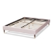 Baxton Studio Volden Glam and Luxe Light Pink Velvet Fabric Upholstered Full Size Wood Platform Bed Frame with Gold-Tone Leg Tips - BBT6598A1-Light Pink-Full