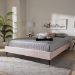 Baxton Studio Volden Glam and Luxe Light Pink Velvet Fabric Upholstered Full Size Wood Platform Bed Frame with Gold-Tone Leg Tips - BBT6598A1-Light Pink-Full