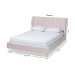Baxton Studio Saverio Glam and Luxe Light Pink Velvet Fabric Upholstered Queen Size Platform Bed with Gold-Tone Legs - BBT6765-Light Pink-Queen