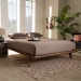 Baxton Studio Kaia Mid-Century Modern Walnut Brown Finished Wood Queen Size Platform Bed Frame - MG0002-Ash Walnut-Queen