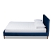 Baxton Studio Frida Glam and Luxe Royal Blue Velvet Fabric Upholstered Full Size Bed - BBT6830-Navy Blue/Walnut-Full