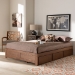 Baxton Studio Wren Modern and Contemporary Walnut Finished 3-Drawer Queen Size Platform Storage Bed Frame - MG6001-Walnut-Queen