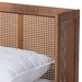 Baxton Studio Rina Mid-Century Modern Ash Wanut Finished Wood and Synthetic Rattan Queen Size Platform Bed with Wrap-Around Headboard - MG97151-Ash Walnut Rattan-Queen