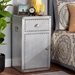 Baxton Studio Serge French Industrial Silver Metal 1-Door Accent Storage Cabinet - JY17B161-Silver-Cabinet