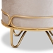 Baxton Studio Lucienne Glam and Luxe Beige Velvet Fabric Upholstered Gold Finished Metal Ottoman - FJ5A-017-Beige/Gold-Otto