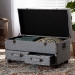 Baxton Studio Flynn Modern Transitional Grey Fabric Upholstered 2-Drawer Storage Trunk Ottoman - JY19A416-Grey-Otto