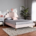 Baxton Studio Odille Modern Glam Light Pink Velvet Upholstered Walnut Brown Finished Wood Queen Size Seashell Shaped Platform Bed - BBT6897-Light Pink Velvet/Walnut-Queen