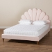 Baxton Studio Odille Modern Glam Light Pink Velvet Upholstered Walnut Brown Finished Wood Queen Size Seashell Shaped Platform Bed - BBT6897-Light Pink Velvet/Walnut-Queen