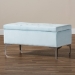 Baxton Studio Mabel Modern and Contemporary Transitional Light Blue Velvet Fabric Upholstered Silver Finished Storage Ottoman - WS-20093-Light Blue Velvet/Silver-Otto