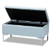 Baxton Studio Mabel Modern and Contemporary Transitional Light Blue Velvet Fabric Upholstered Silver Finished Storage Ottoman - WS-20093-Light Blue Velvet/Silver-Otto