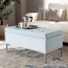 Baxton Studio Mabel Modern and Contemporary Transitional Light Blue Velvet Fabric Upholstered Silver Finished Storage Ottoman - WS-20093-Light Blue Velvet/Silver-Otto