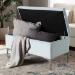 Baxton Studio Mabel Modern and Contemporary Transitional Light Blue Velvet Fabric Upholstered Silver Finished Storage Ottoman - WS-20093-Light Blue Velvet/Silver-Otto