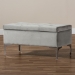 Baxton Studio Mabel Modern and Contemporary Transitional Grey Velvet Fabric Upholstered Silver Finished Storage Ottoman - WS-20093-Grey Velvet/Silver-Otto