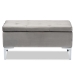 Baxton Studio Mabel Modern and Contemporary Transitional Grey Velvet Fabric Upholstered Silver Finished Storage Ottoman - WS-20093-Grey Velvet/Silver-Otto