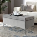 Baxton Studio Mabel Modern and Contemporary Transitional Grey Velvet Fabric Upholstered Silver Finished Storage Ottoman - WS-20093-Grey Velvet/Silver-Otto