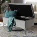 Baxton Studio Mabel Modern and Contemporary Transitional Grey Velvet Fabric Upholstered Silver Finished Storage Ottoman - WS-20093-Grey Velvet/Silver-Otto