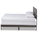 Baxton Studio Anthony Modern and Contemporary Dark Grey Oak Finished Wood Queen Size Panel Bed - MG0024-Green Gray-Queen