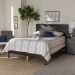 Baxton Studio Anthony Modern and Contemporary Dark Grey Oak Finished Wood Queen Size Panel Bed - MG0024-Green Gray-Queen