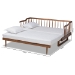 Baxton Studio Muriel Modern and Transitional Walnut Brown Finished Wood Expandable Twin Size to King Size Spindle Daybed - MG0037-Walnut-Daybed