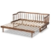 Baxton Studio Muriel Modern and Transitional Walnut Brown Finished Wood Expandable Twin Size to King Size Spindle Daybed - MG0037-Walnut-Daybed